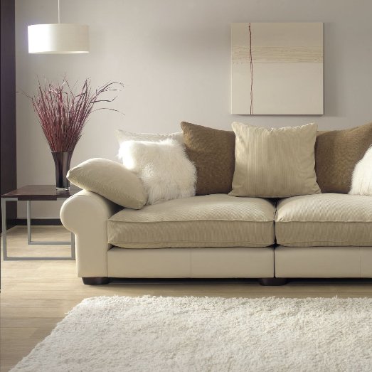 Area rug in a stylish living room